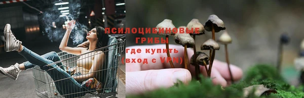 каннабис Нефтекумск